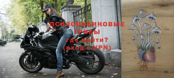 COCAINE Богородицк