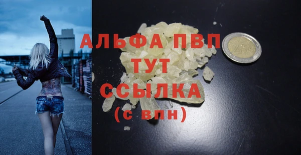 PSILOCYBIN Богородск