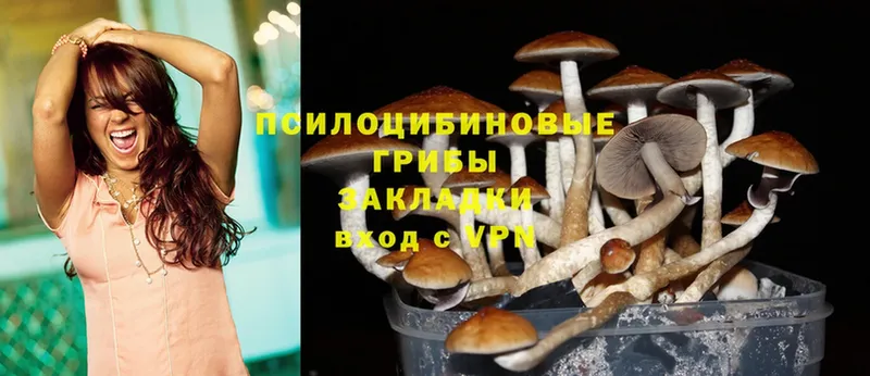 кракен ссылки  Городец  Галлюциногенные грибы Cubensis 