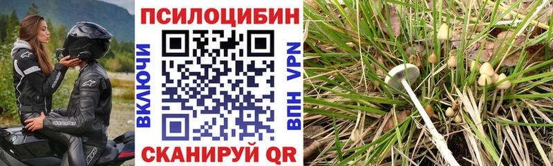 Псилоцибиновые грибы прущие грибы  цена   Городец 