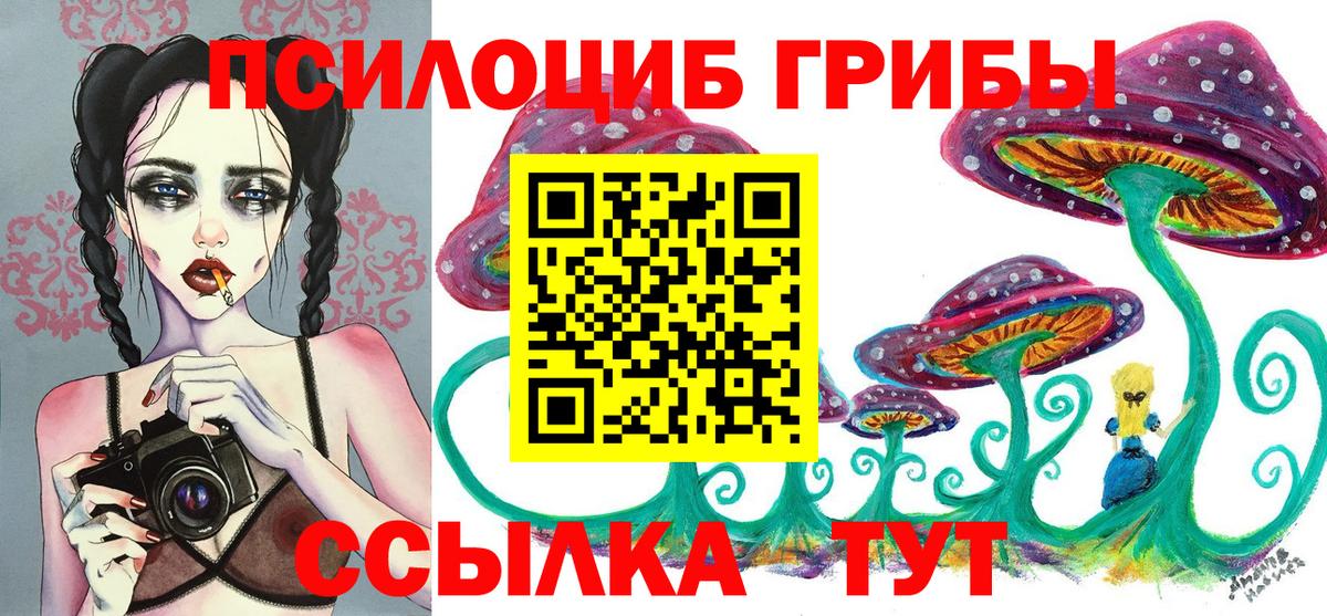 Псилоцибиновые грибы мухоморы Городец