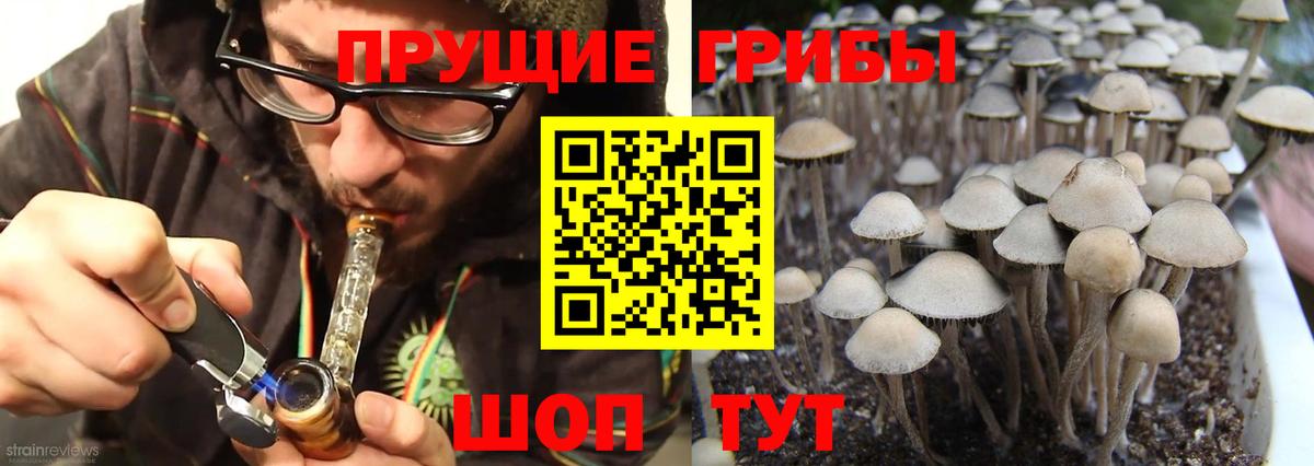 Городец  Галлюциногенные грибы мицелий  Вход с VPN 