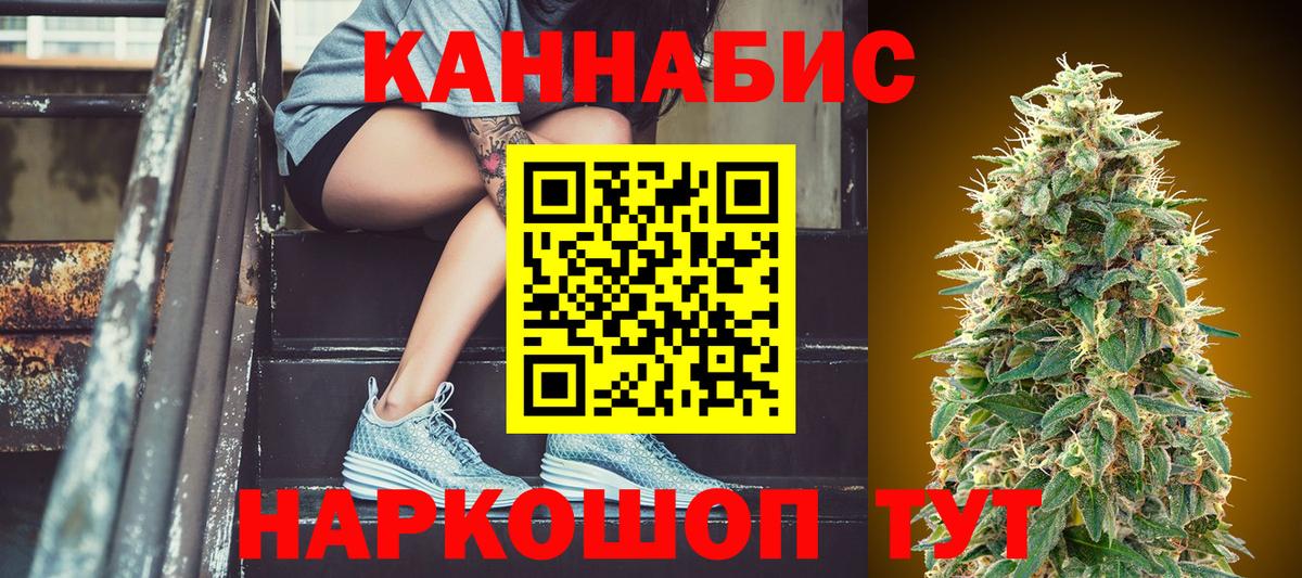 Каннабис OG Kush Городец